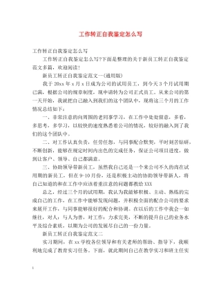 工作转正自我鉴定怎么写 (2) 