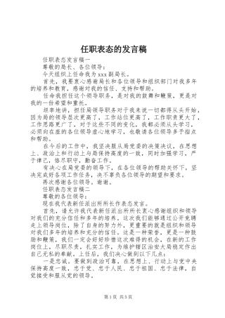 任职表态的发言稿