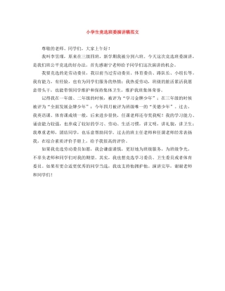 小学生竞选班委演讲稿范文 