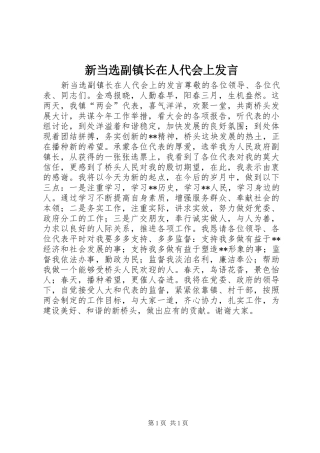 新当选副镇长在人代会上发言