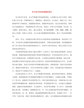 护士实习生的自我鉴定范文 