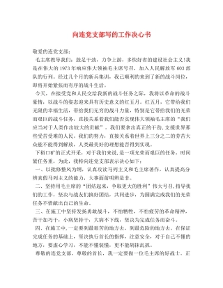 向连党支部写的工作决心书 