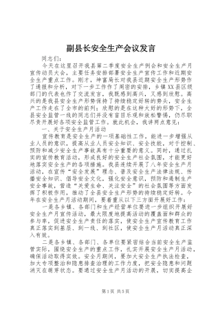 副县长安全生产会议发言