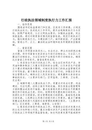 行政执法领域制度执行力工作汇报