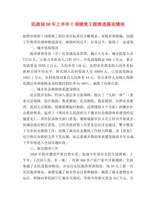 民政局08年上半年十项绩效工程推进落实情况 