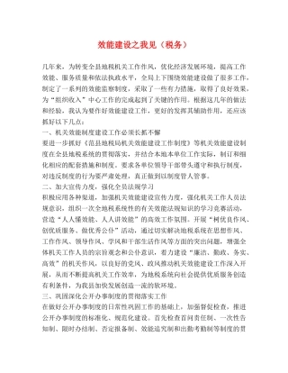效能建设之我见（税务） 