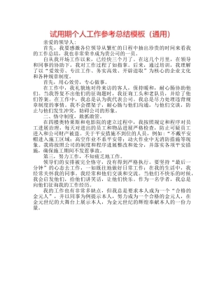 试用期个人工作参考总结模板（通用） 