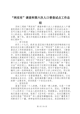 “两实有”调查和第六次人口普查试点工作总结
