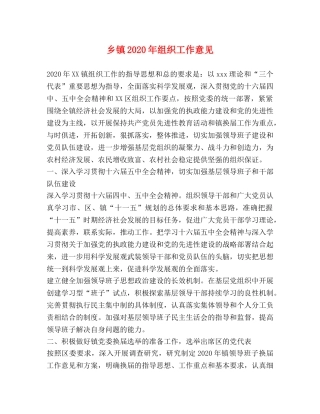 乡镇2024年组织工作意见 