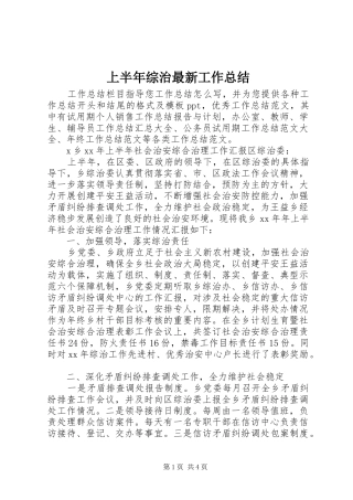 上半年综治最新工作总结