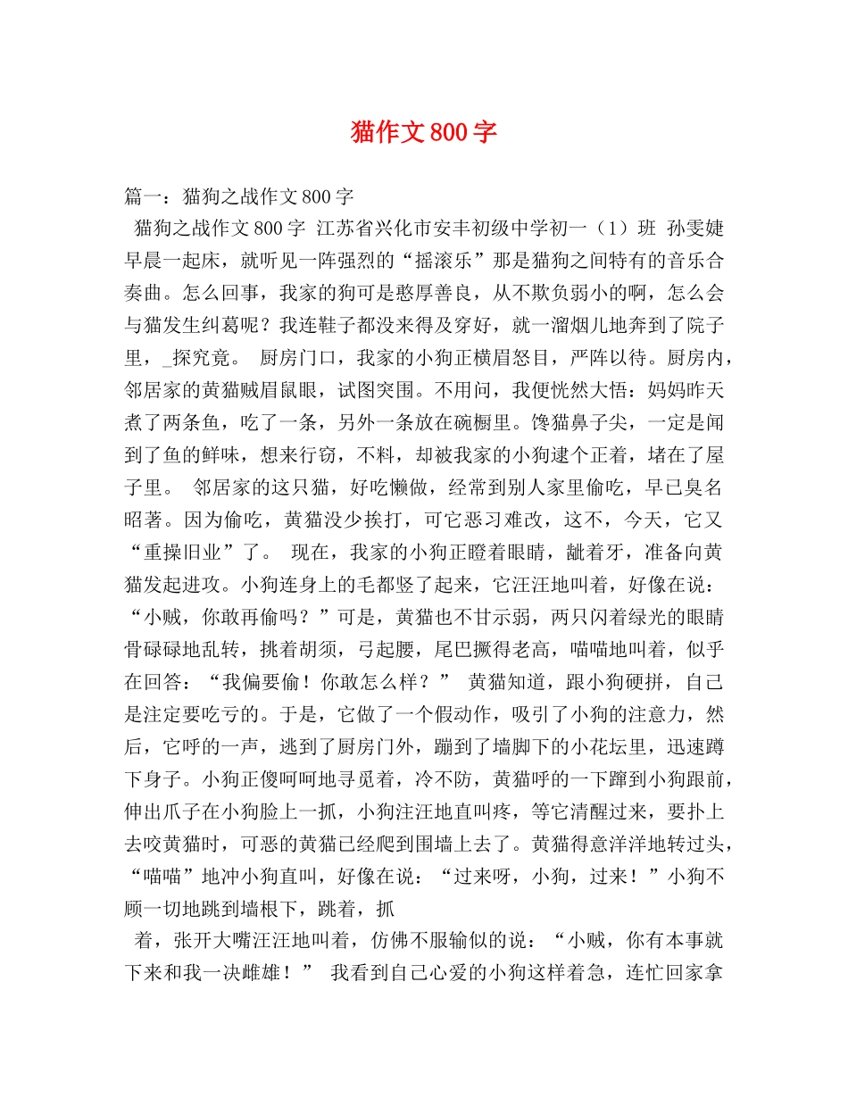 猫作文800字 _第1页