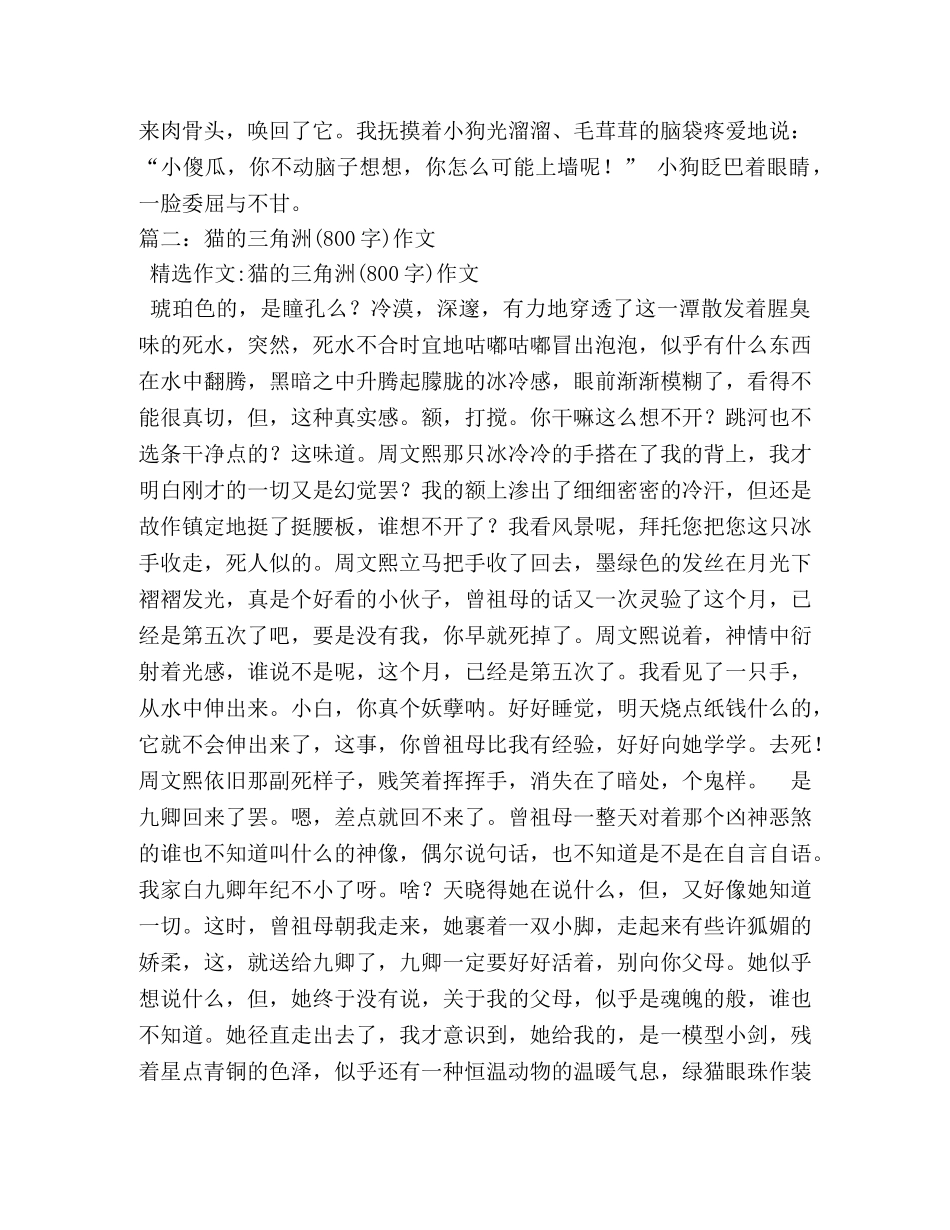 猫作文800字 _第2页