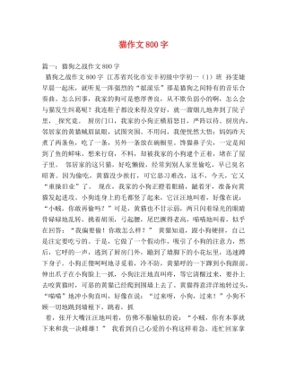 猫作文800字 