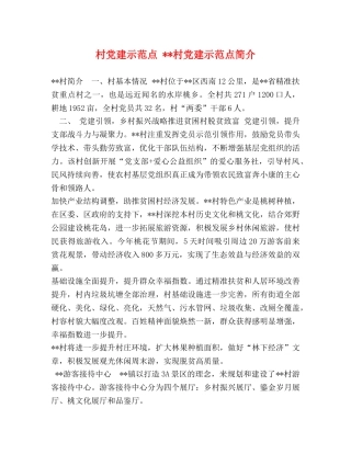 建示范点 --村党建示范点简介 