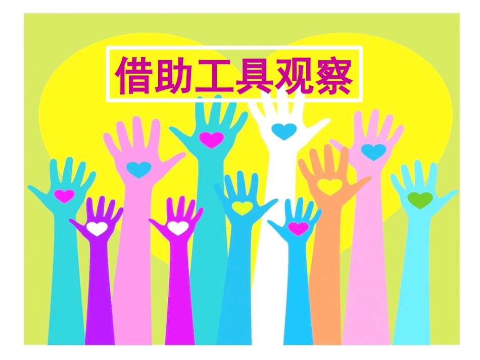 科学《借助工具观察》_第1页