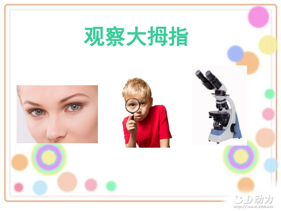 科学《借助工具观察》_第2页