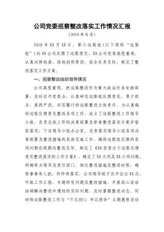 公司巡察整改落实工作情况汇报