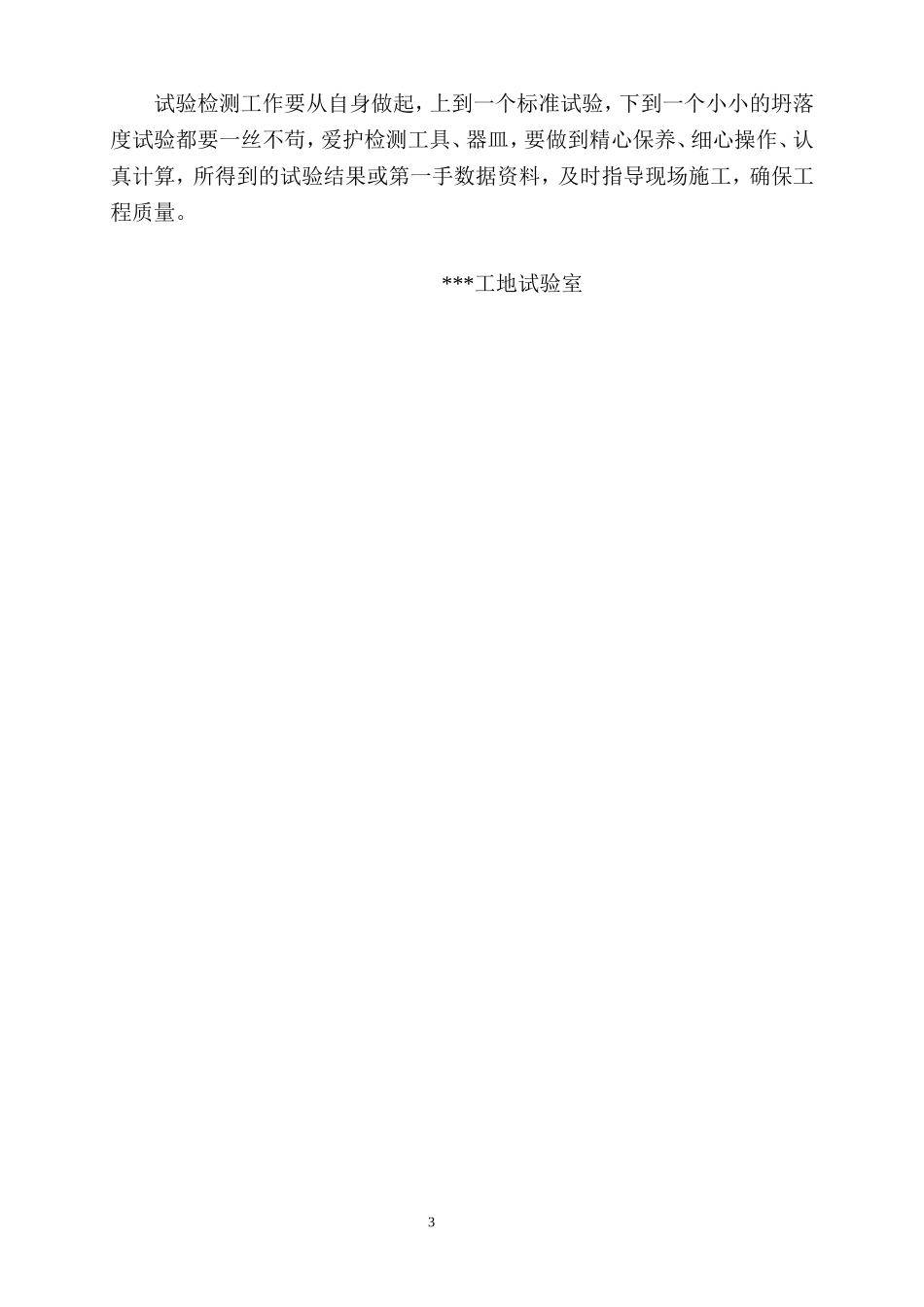 工地试验室年度总结_第3页