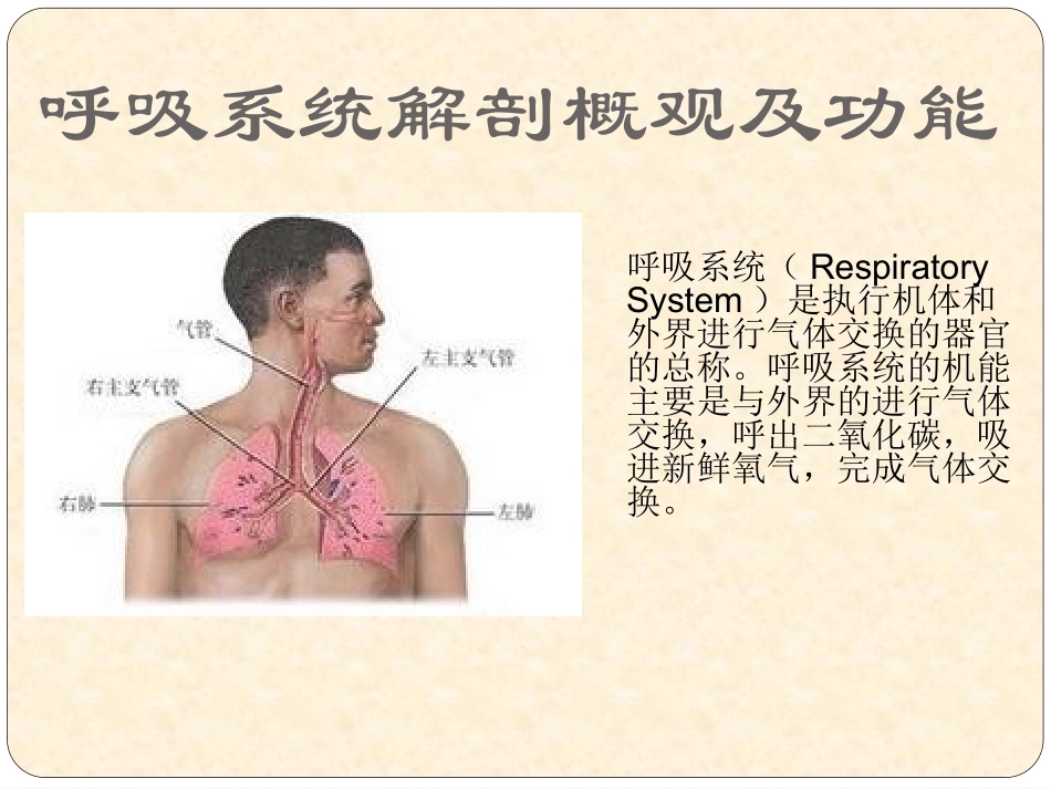 常见呼吸道疾病预防知识 - 副本_第2页
