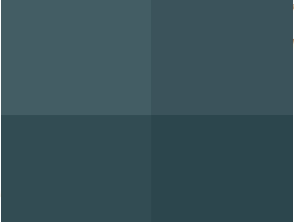 小学生安全用电知识(PPT)_第2页