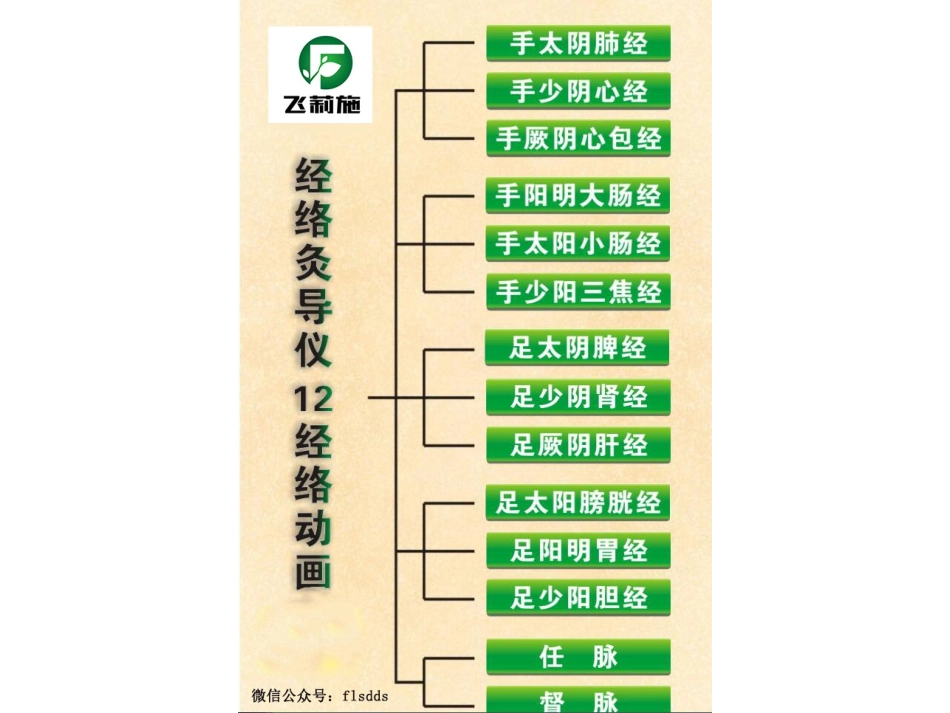 人体十二条经络图_第2页