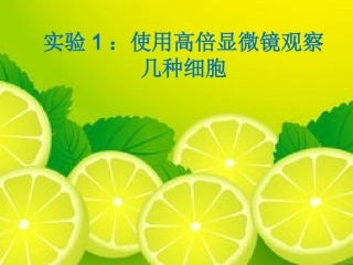 实验1使用高倍显微镜观察几种细胞