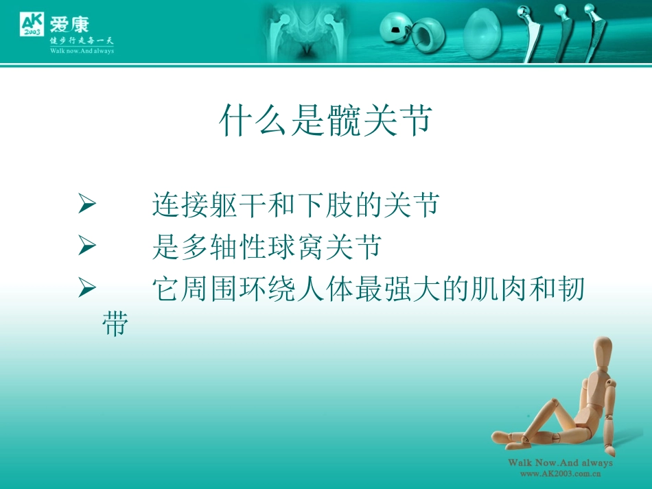 髋关节解剖学_第2页