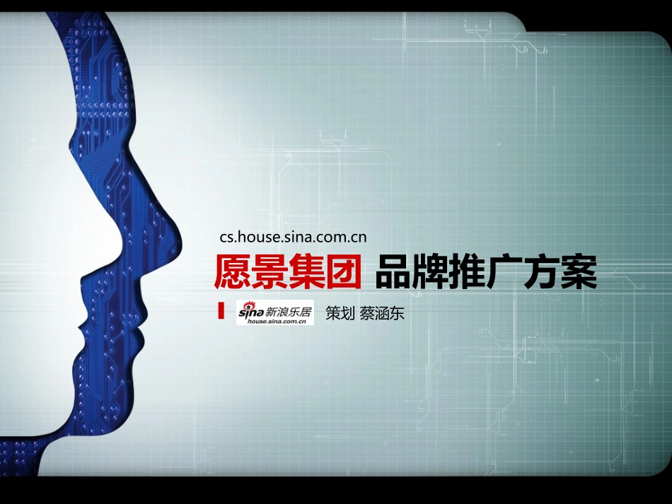 品牌推广方案_第1页