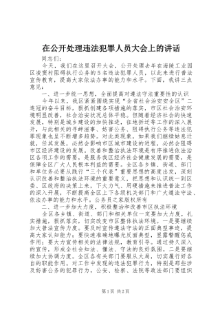 在公开处理违法犯罪人员大会上的讲话