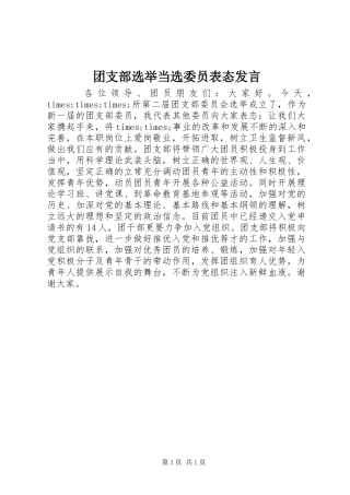 团支部选举当选委员表态发言