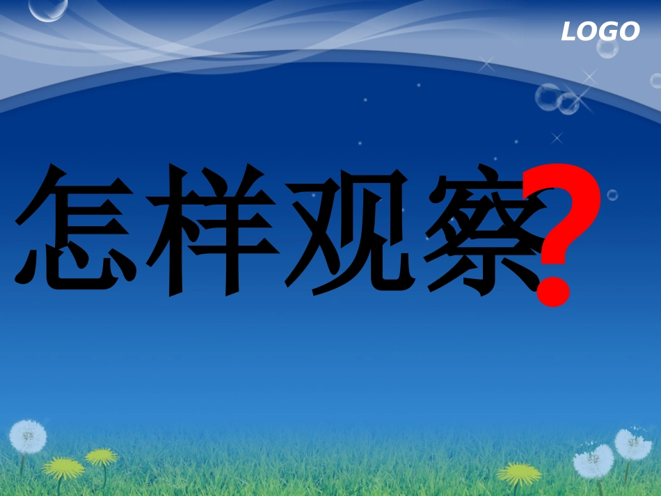 三年级作文——观察桔子_第1页