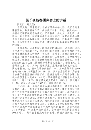 县长在新春团拜会上的讲话