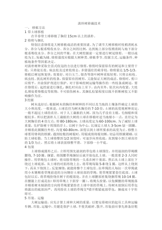 滇朴移栽技术