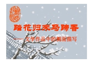 侧面描写PPT