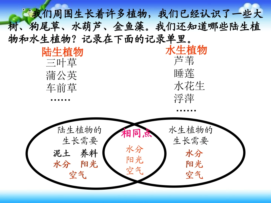 7植物有哪些相同特点_第2页