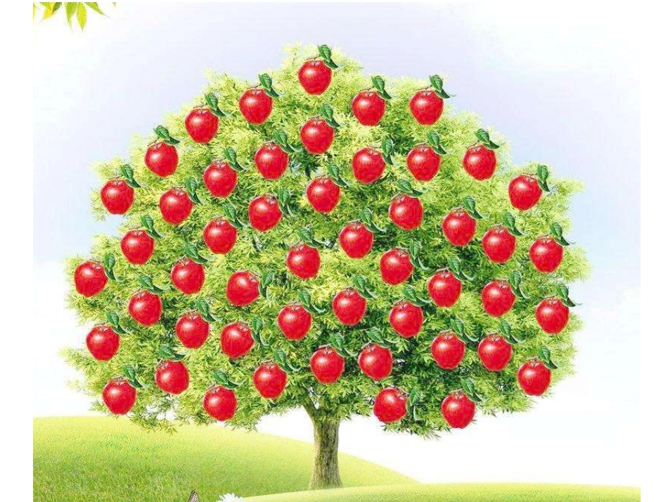 社会生活讲道德_第3页