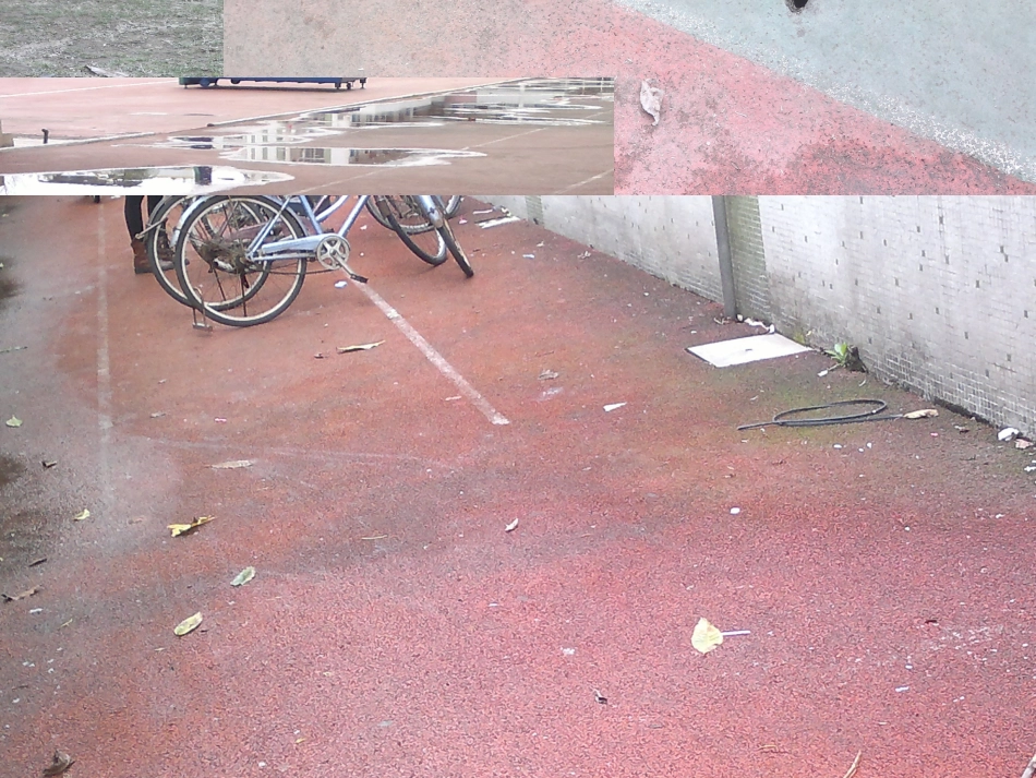 保护环境,争做环保小卫士 _主题班会_第3页