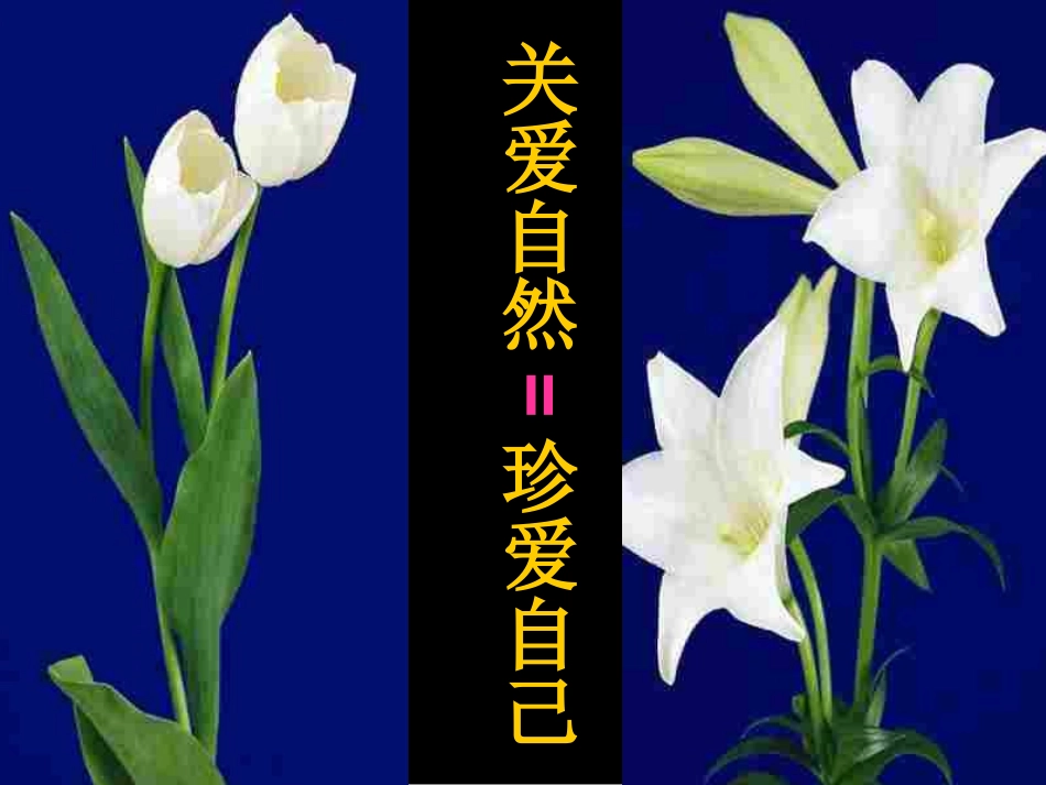 主题班会--善待人生,远离打架斗殴_第2页