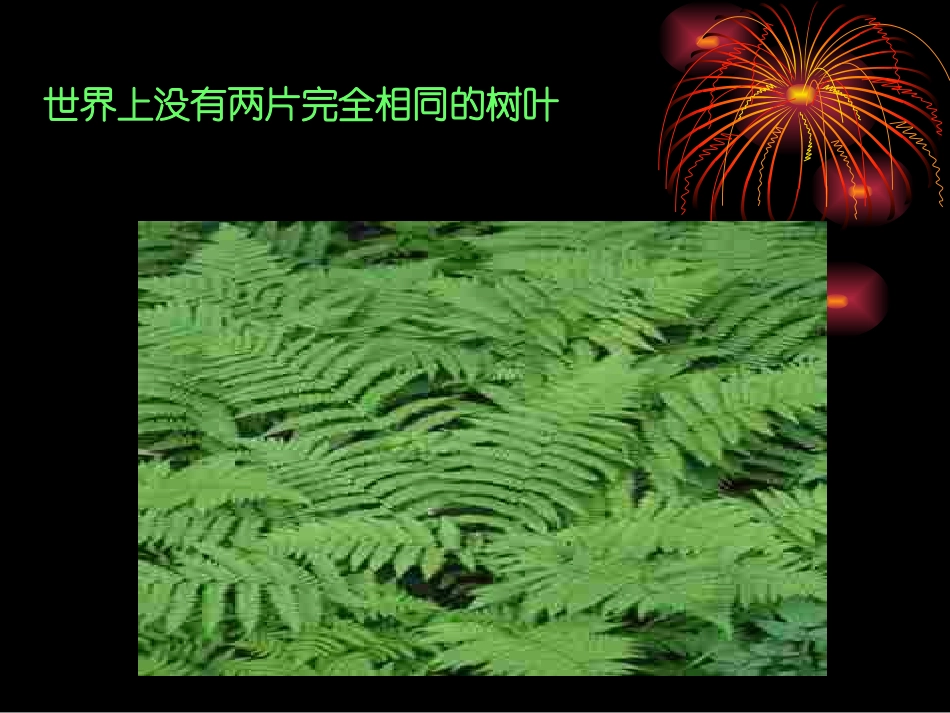 主题班会--善待人生,远离打架斗殴_第3页