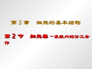 细胞器--系统内的分工合作
