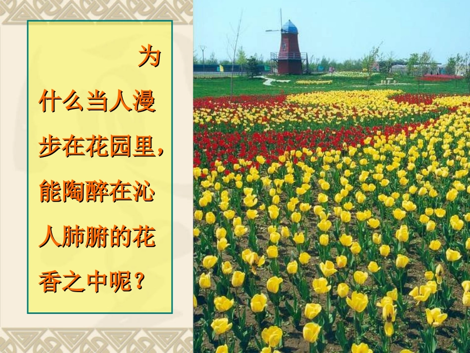 九年级化学第三单元课题1分子和原子课件人教2011新课标版_第3页