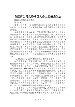 在巡察公司党委动员大会上的表态发言