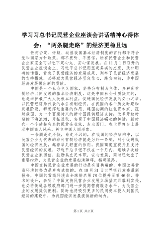学习习总书记民营企业座谈会讲话精神心得体会：“两条腿走路”的经济更稳且远