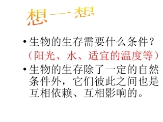 食物链与食物网