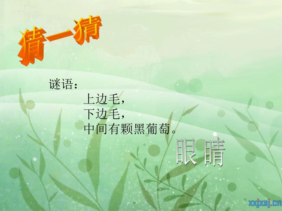 保护视力幻灯片_第3页