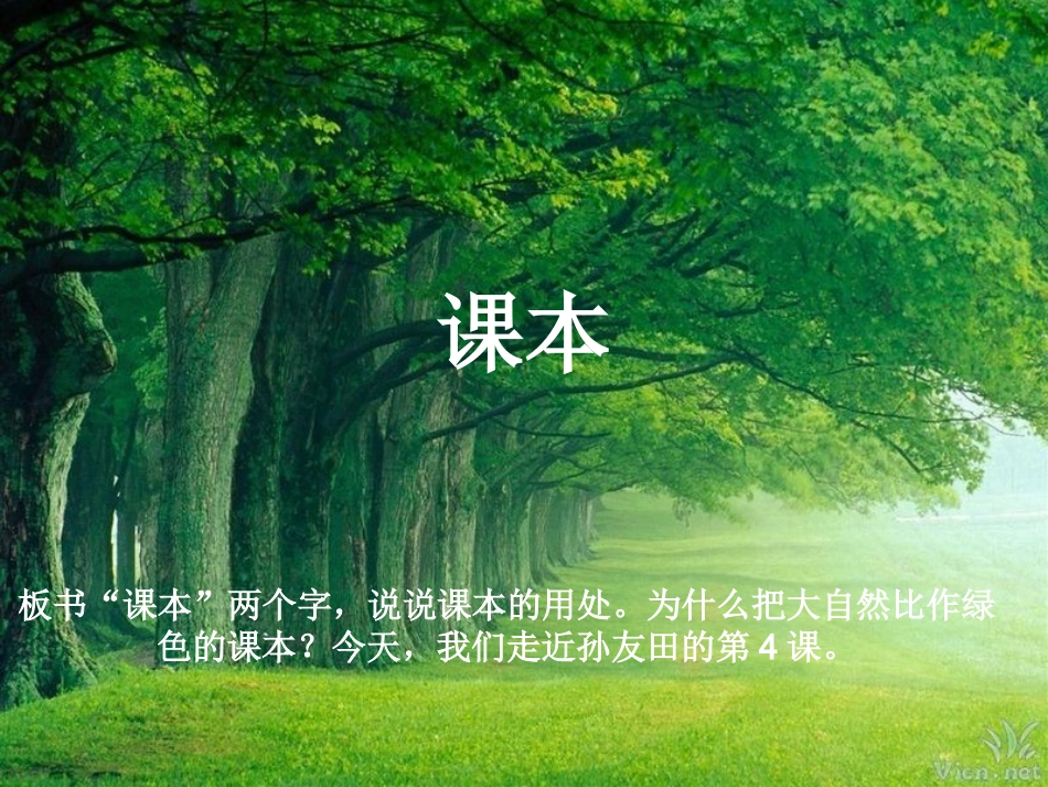 4.去打开大自然绿色的课本_第2页