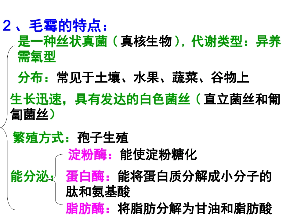 腐乳的制作原理及过程_第3页