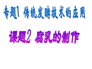 腐乳的制作原理及过程