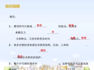 六年级科学 做框架PPT