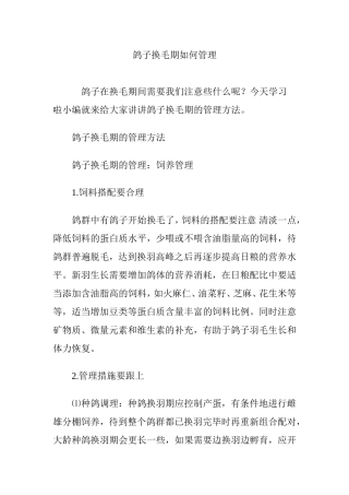 鸽子换毛期如何管理